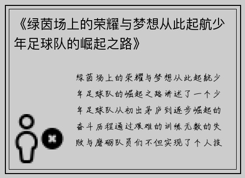 《绿茵场上的荣耀与梦想从此起航少年足球队的崛起之路》