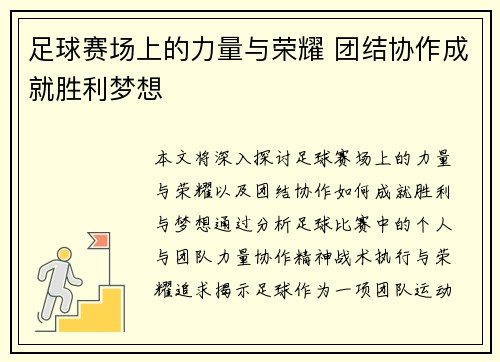 足球赛场上的力量与荣耀 团结协作成就胜利梦想