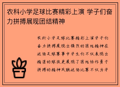 农科小学足球比赛精彩上演 学子们奋力拼搏展现团结精神