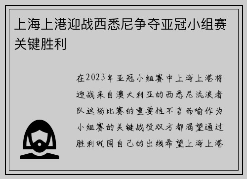 上海上港迎战西悉尼争夺亚冠小组赛关键胜利